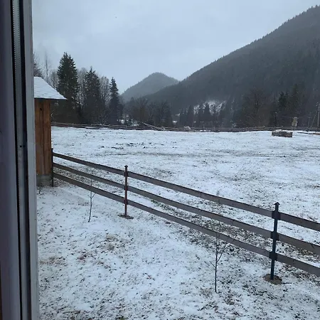 наш Chalet